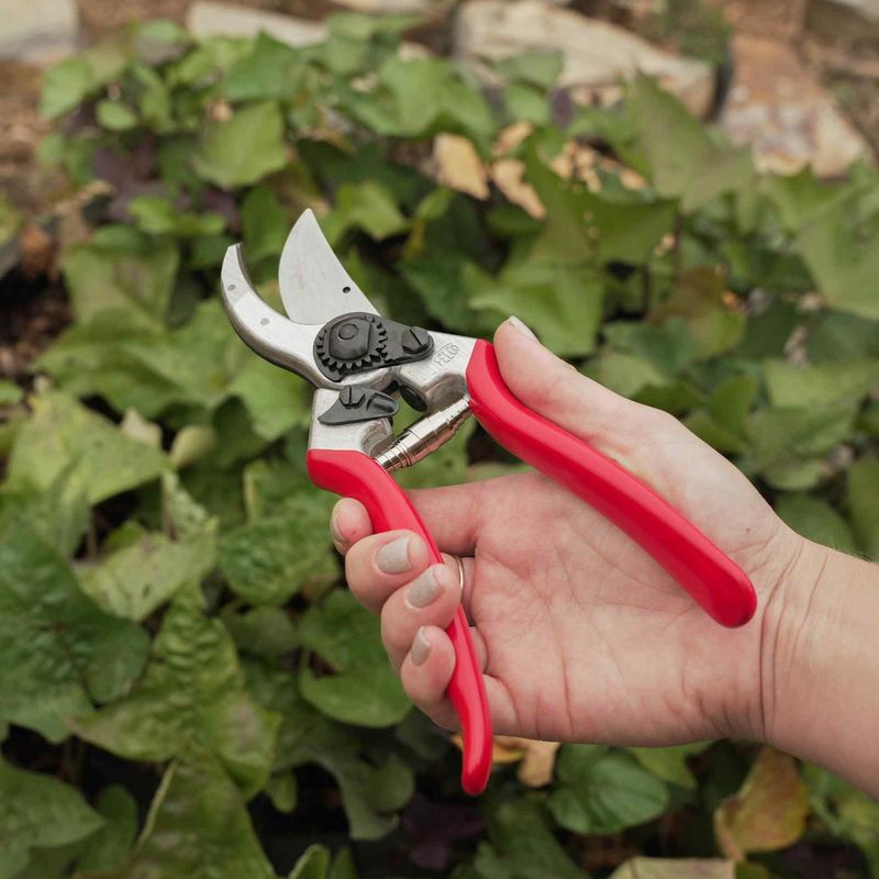 Pruning Shears