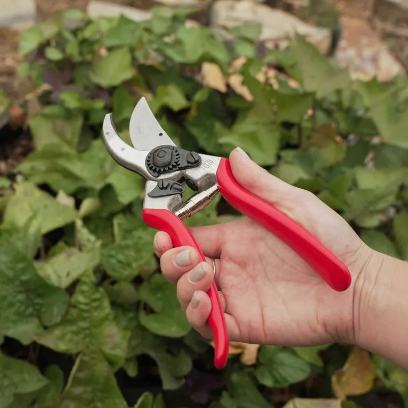 Pruning Shears