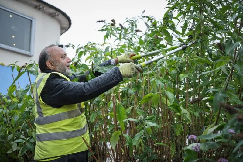 Pruning for Safety