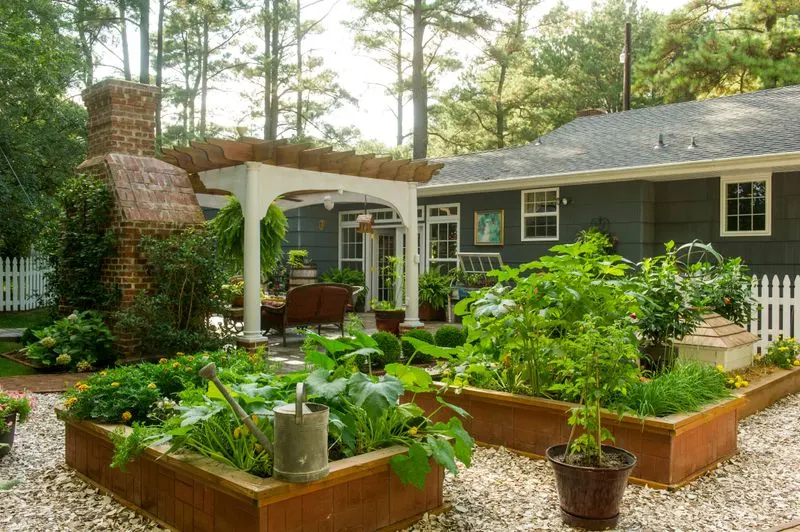 Raised Bed Vegetables