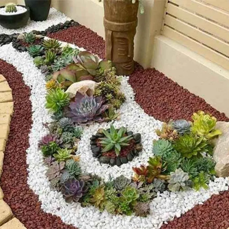 Rock Garden