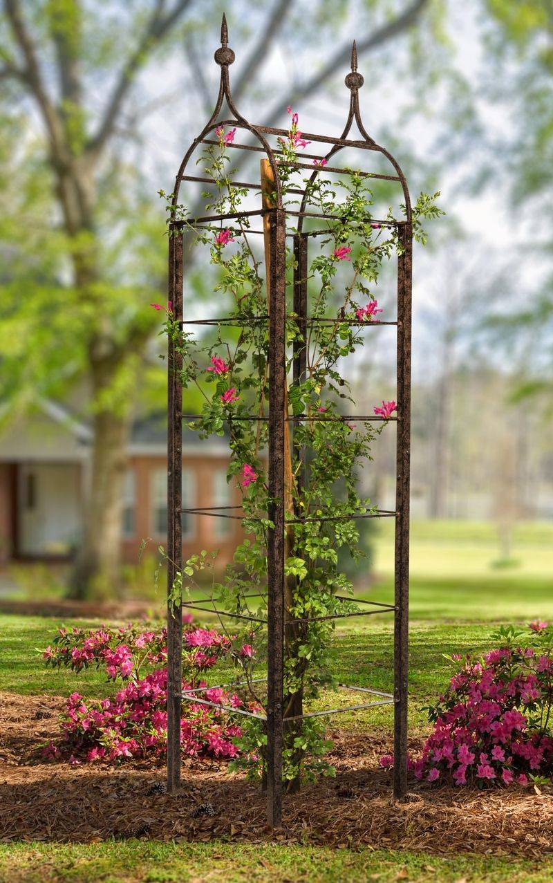 Rustic Wrought Iron Arch