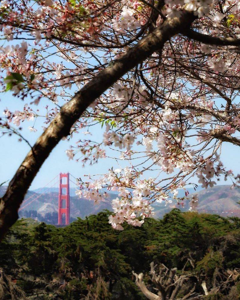 San Francisco, California - Golden Gate Park