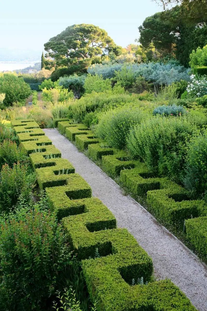 Sculptured Hedges