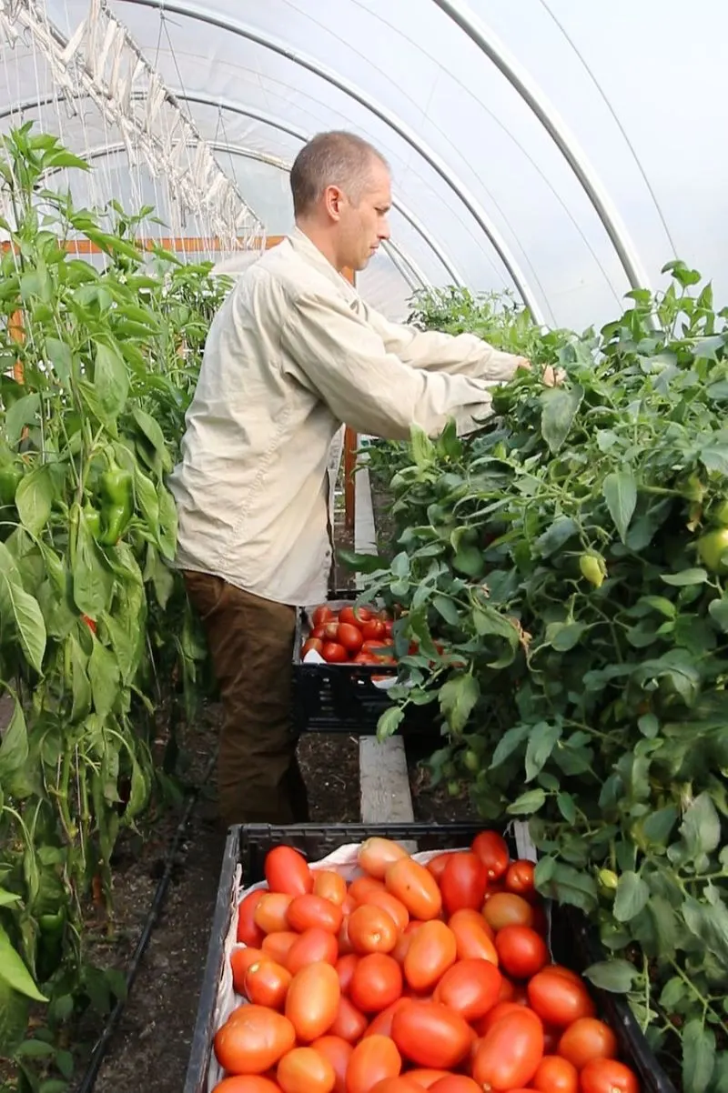 Seasonal Crop Rotation