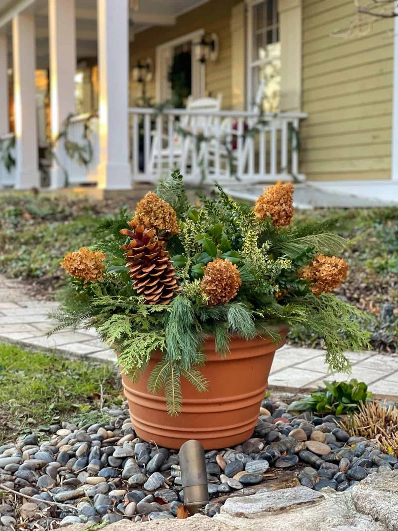 Seasonal Planters