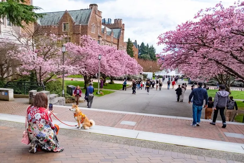 Seattle, Washington - University of Washington Quad