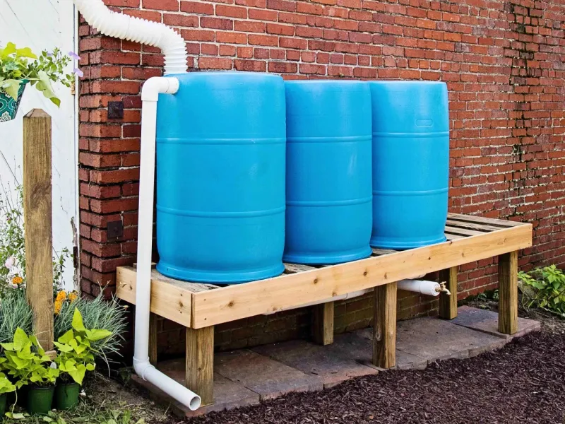 Set Up a Rainwater Collection System