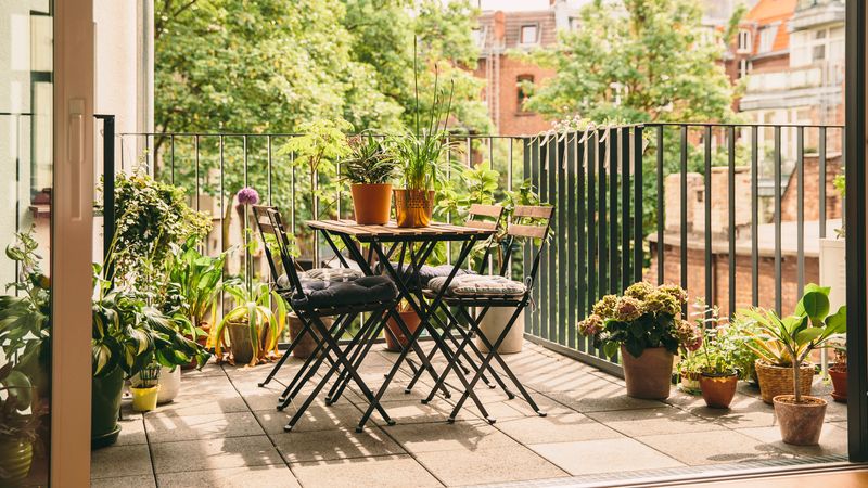 Shade-Loving Fern Corner