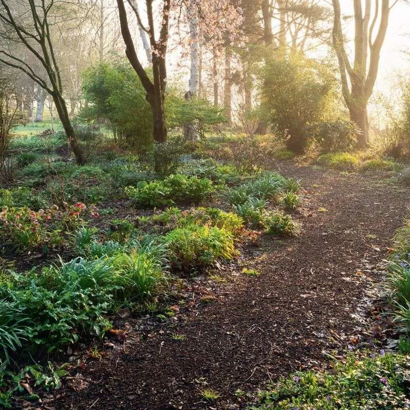 Shaded Woodland Retreat