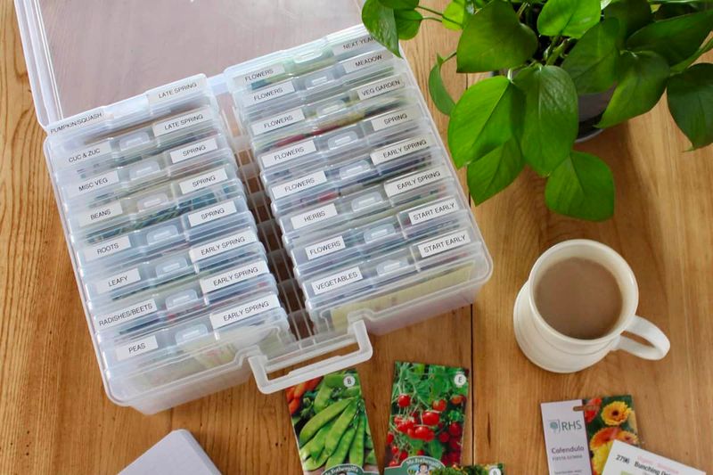 Shoebox Seed Organizer