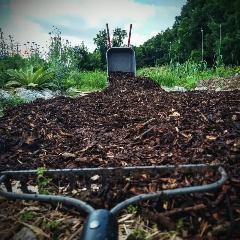 Soil Enrichment