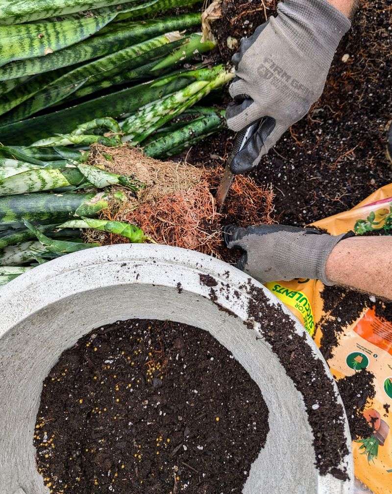 Soil Selection