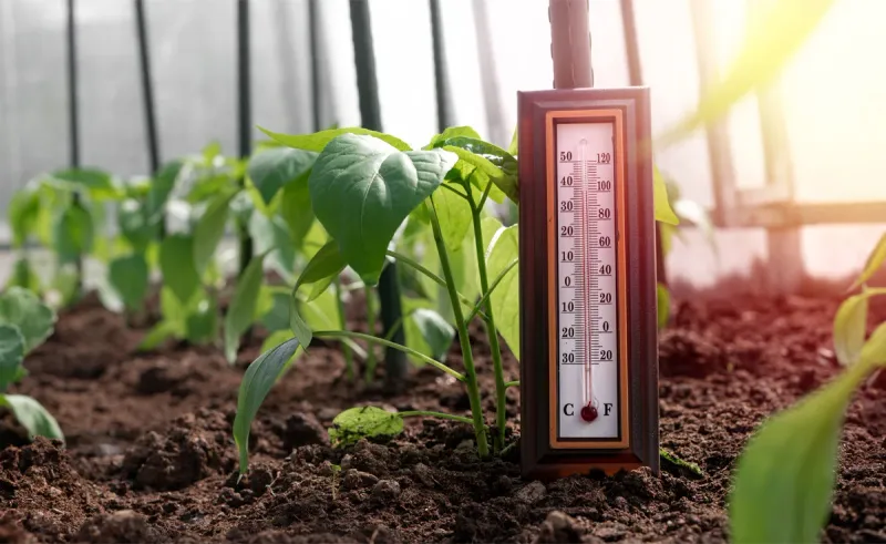 Soil and Air Temperature Monitoring