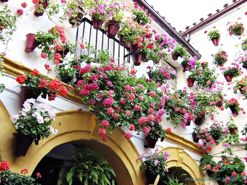 Spanish Andalusian Patio