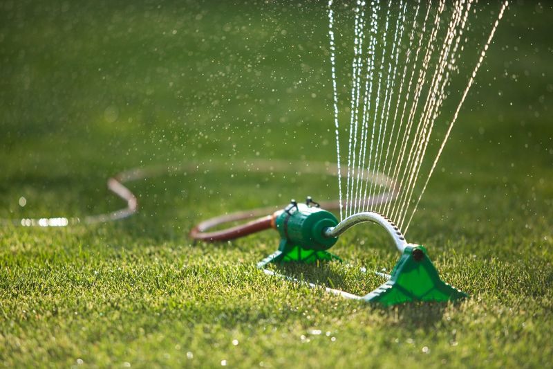 Sprinkler System