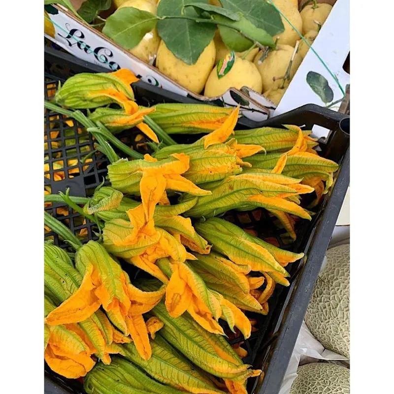 Squash Blossoms