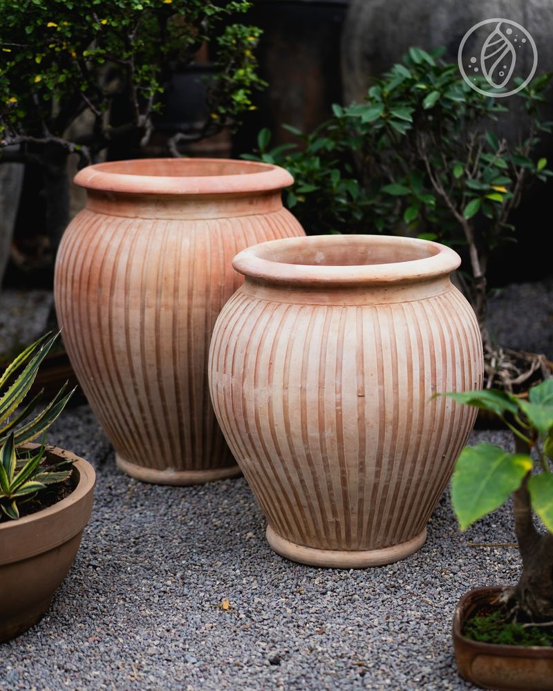 Terracotta Pots