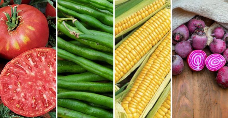 The 7 Best Heirloom Vegetables Grandma Always Grew (And You Can Too)