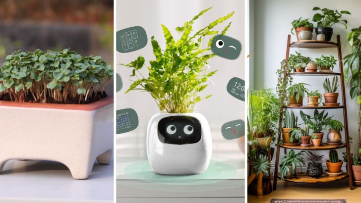 The 9 Biggest Houseplant Trends You Won’t Be Able to Ignore in 2025