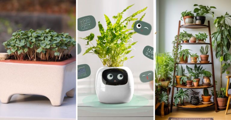 The 9 Biggest Houseplant Trends You Won’t Be Able to Ignore in 2025