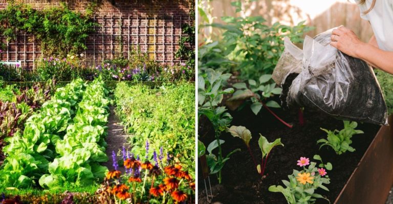The 9 Biggest Raised Bed Gardening Mistakes (and How to Avoid Them)