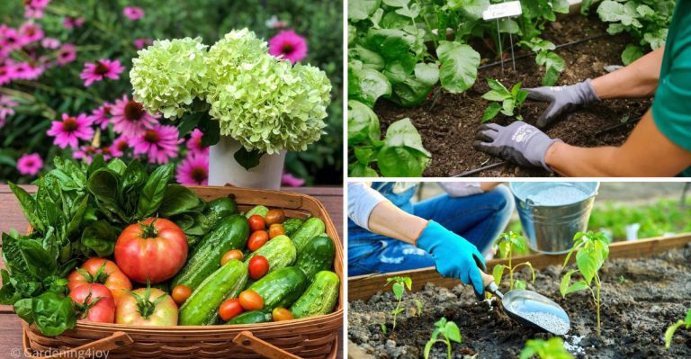 The Dark Side of Organic Gardening: 10 Things You Need to Know