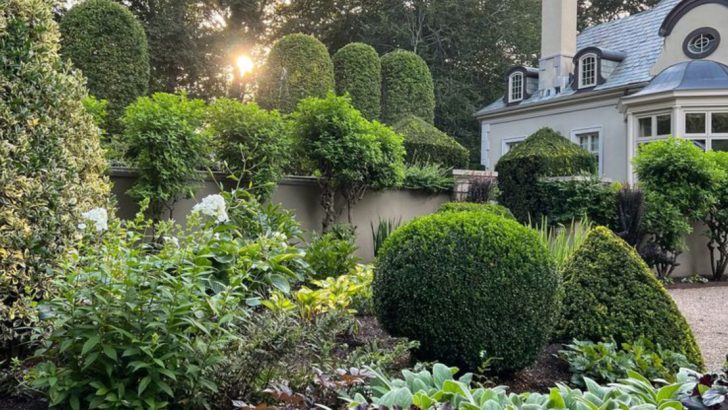 The French Formal Garden Style and How to Adapt It for Your Backyard