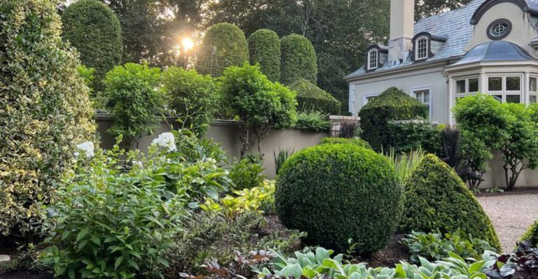 The French Formal Garden Style and How to Adapt It for Your Backyard