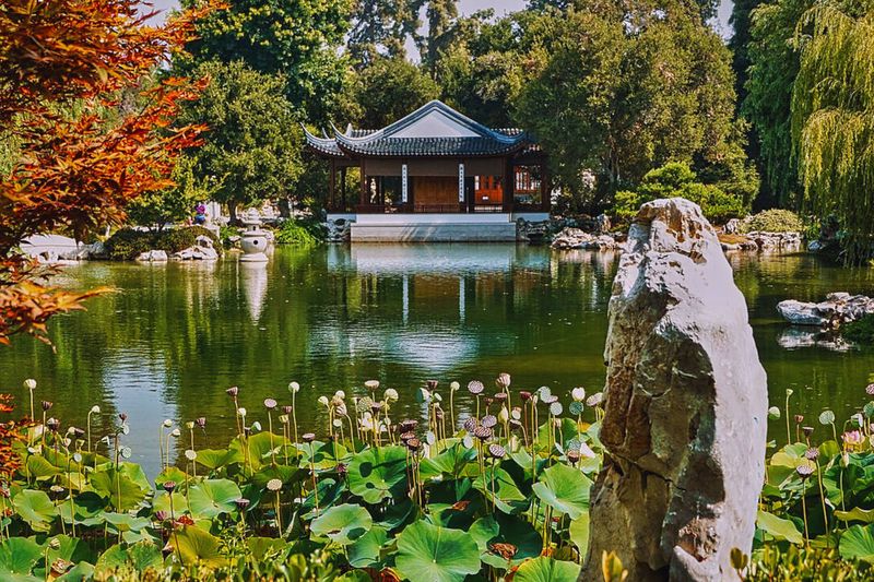 The Huntington Library, Art Museum, and Botanical Gardens, California