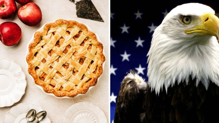 The National Flower, Bird, Tree, Dish, and Sport That Represent the USA