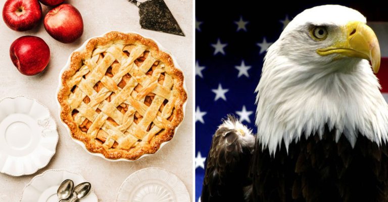 The National Flower, Bird, Tree, Dish, and Sport That Represent the USA