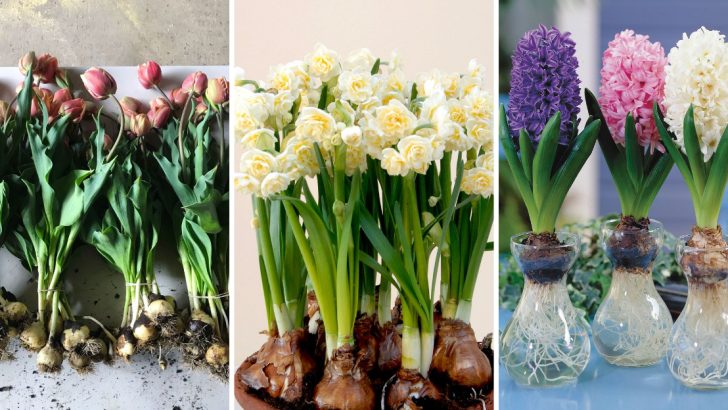 The Top 14 Bulbs You Should Always Save for Next Season