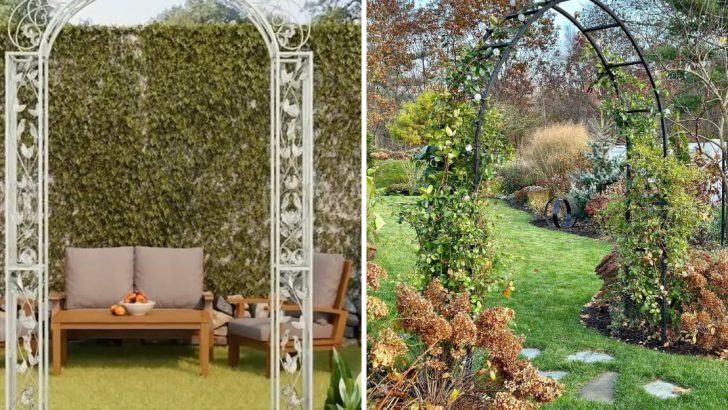 These 8 Garden Arches Will Instantly Upgrade Your Outdoor Space