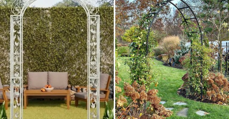 These 8 Garden Arches Will Instantly Upgrade Your Outdoor Space