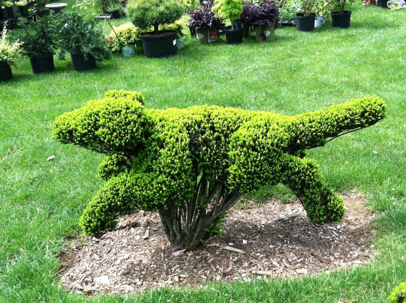 Topiary Sculptures