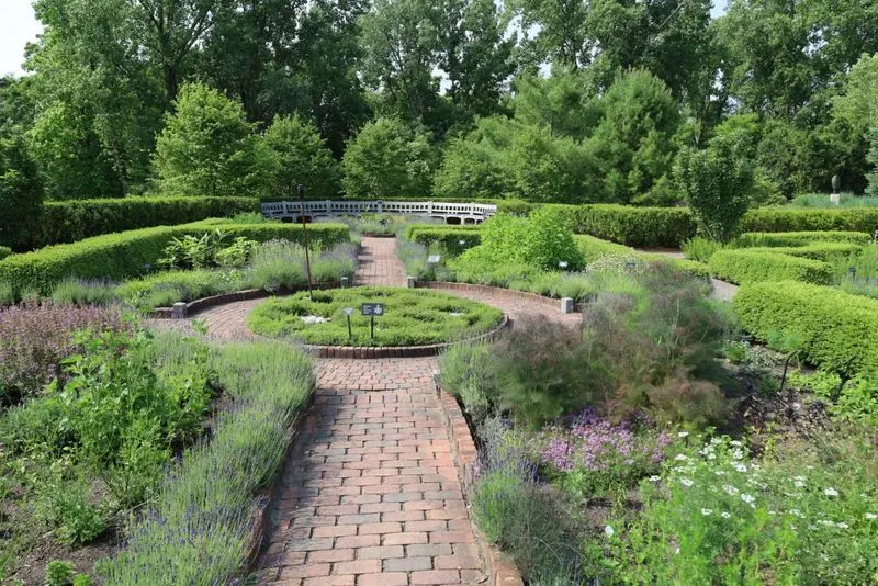 Tudor Knot Garden