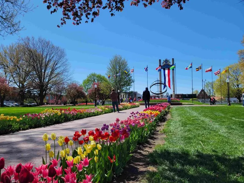 Tulip Festival at Pella, Iowa