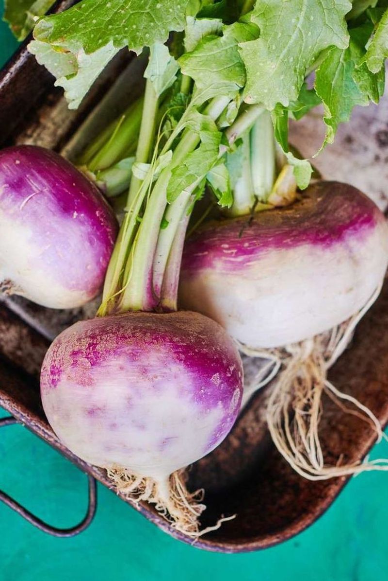 Turnips