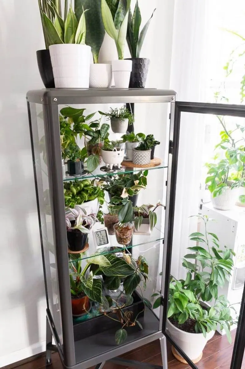 Under-Cabinet Herb Gardens