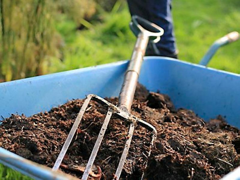 Use Mulch Liberally