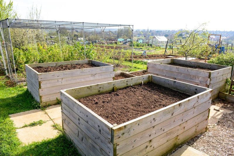 Use Raised Beds for Better Control