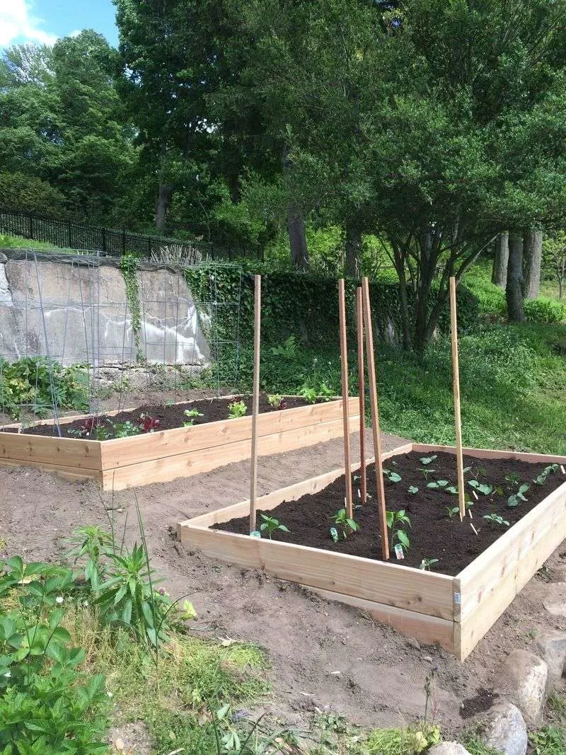 Vegetable Garden on a Slope