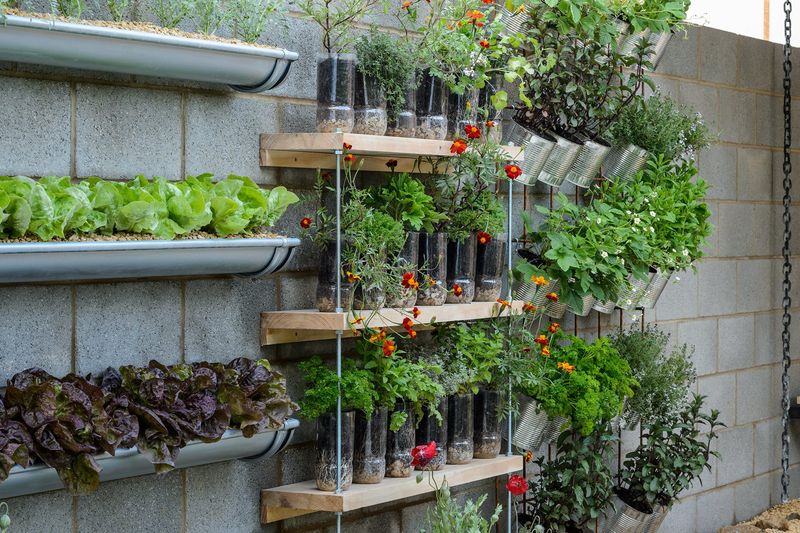 Vertical Garden