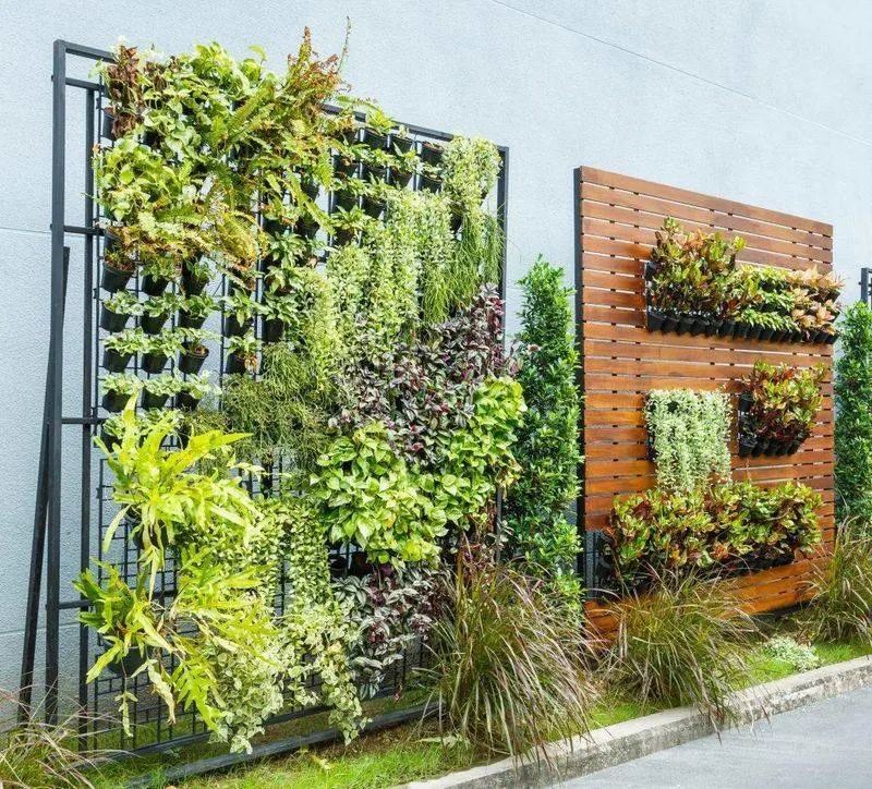 Vertical Gardening Solutions