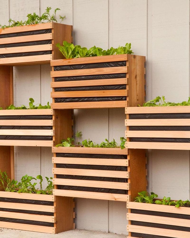 Vertical Gardens