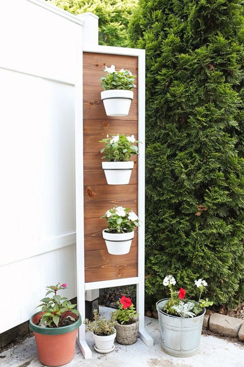 Vertical Gardens for Small Spaces