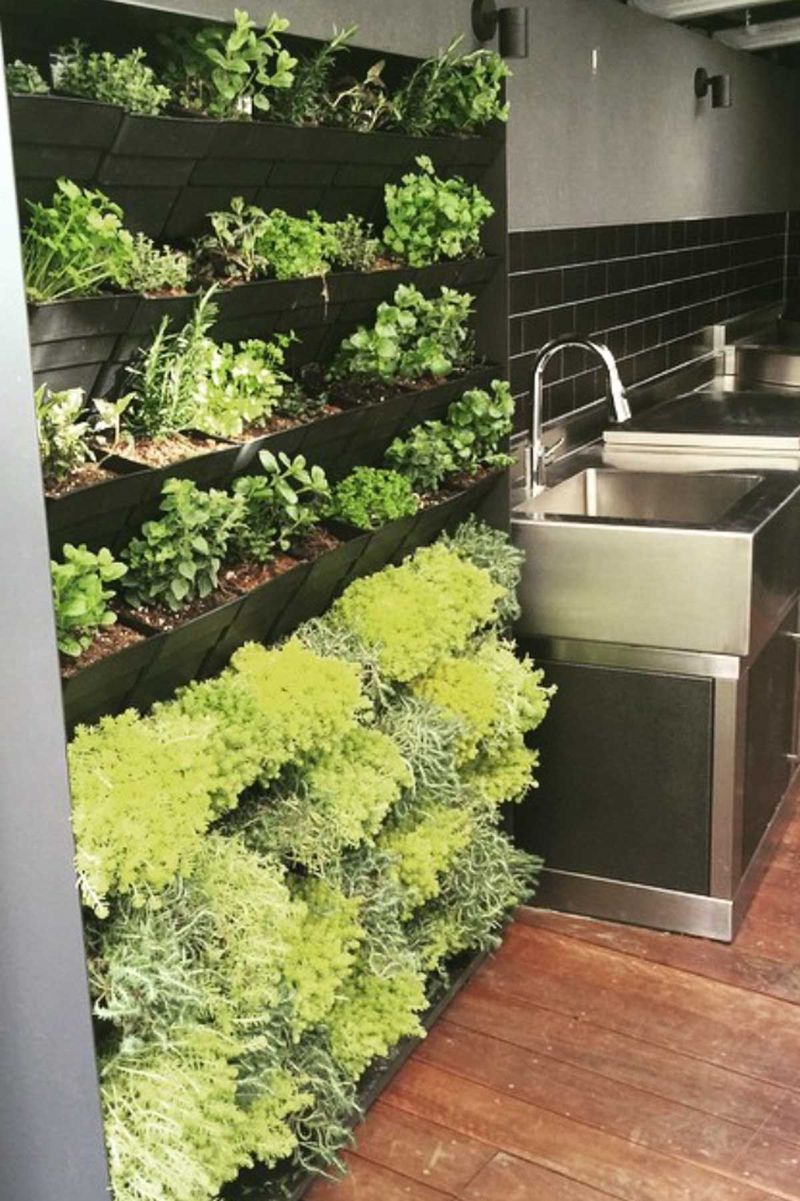 Vertical Herb Wall