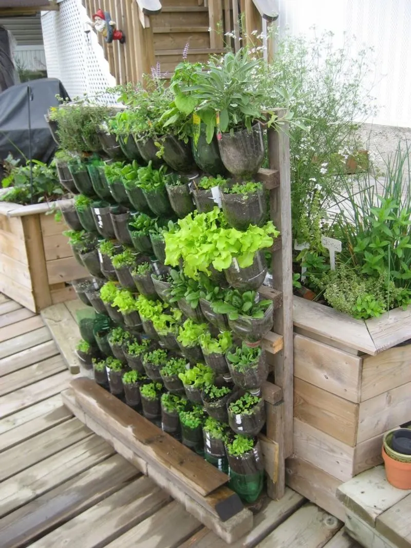 Vertical Planting