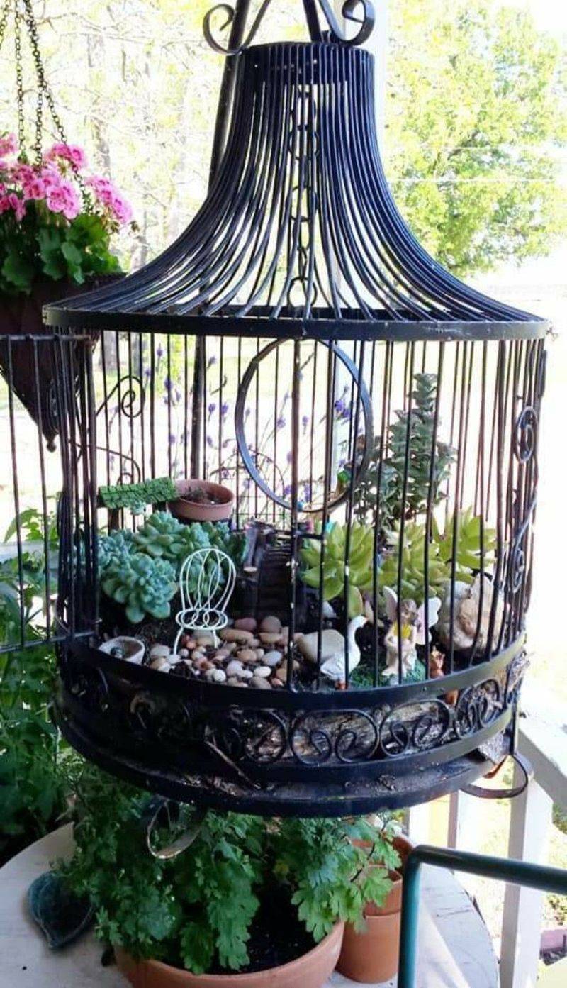 Victorian Bird Cages